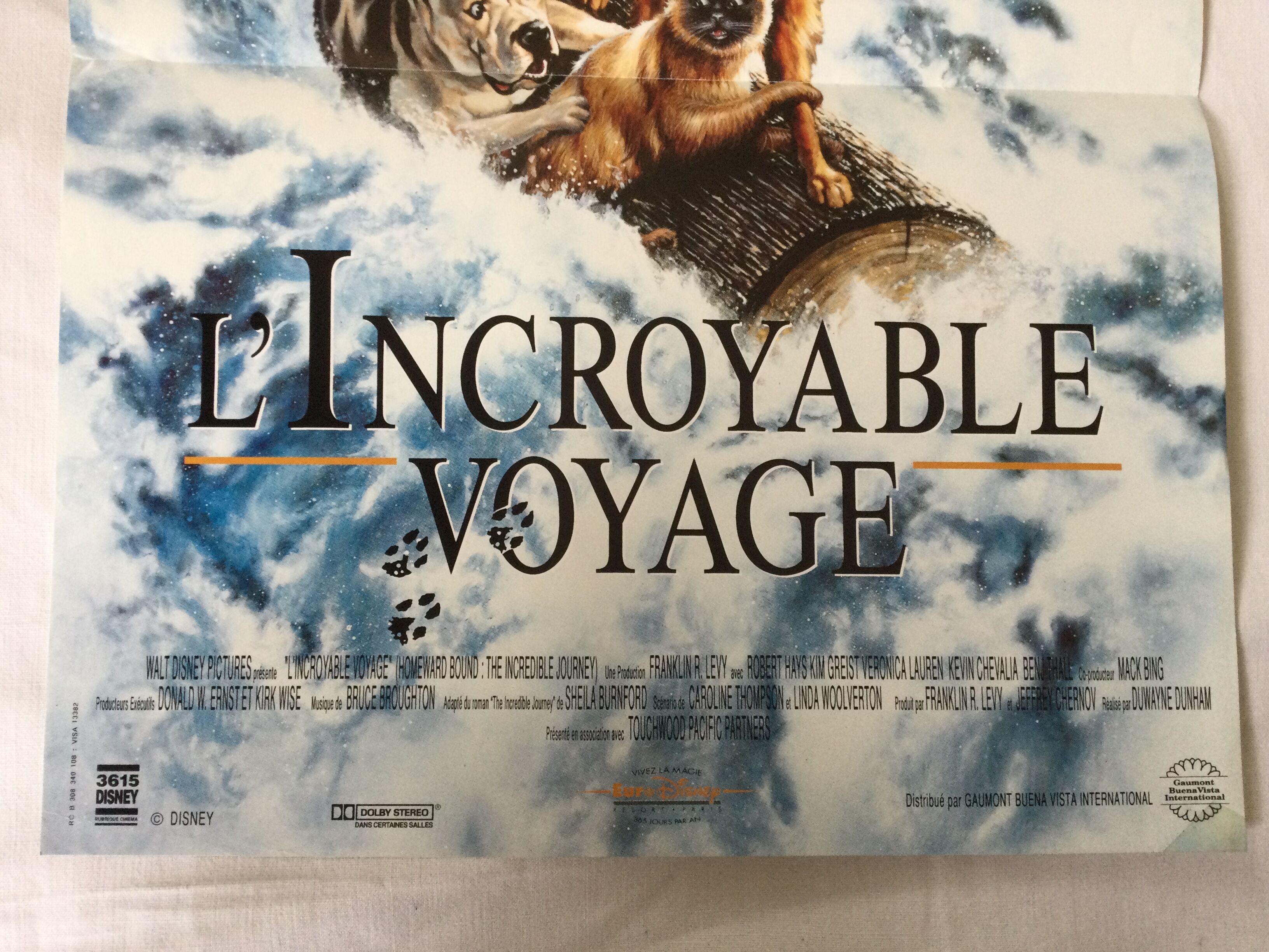 Poster of the film "The Incredible Journey"