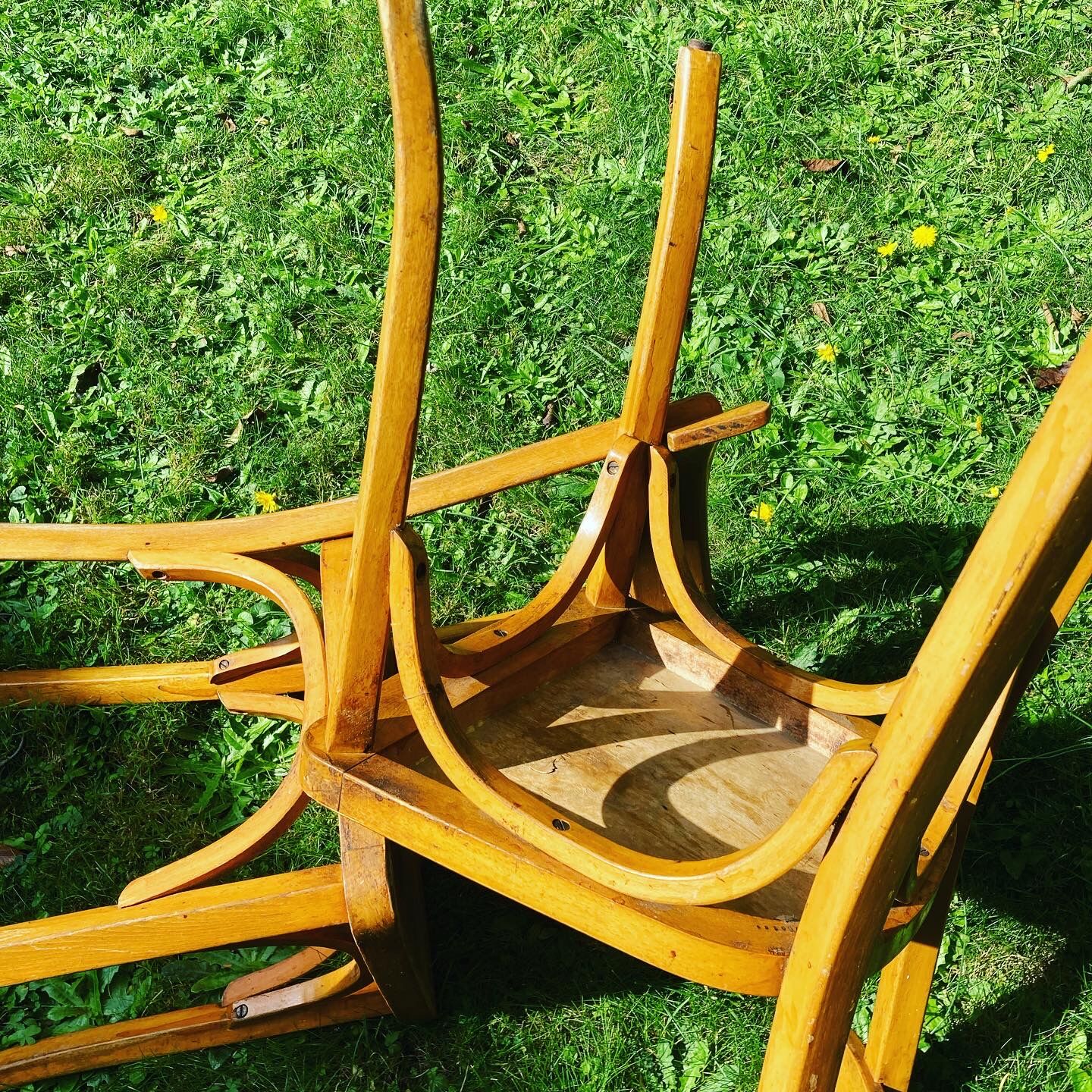 Baumann chairs