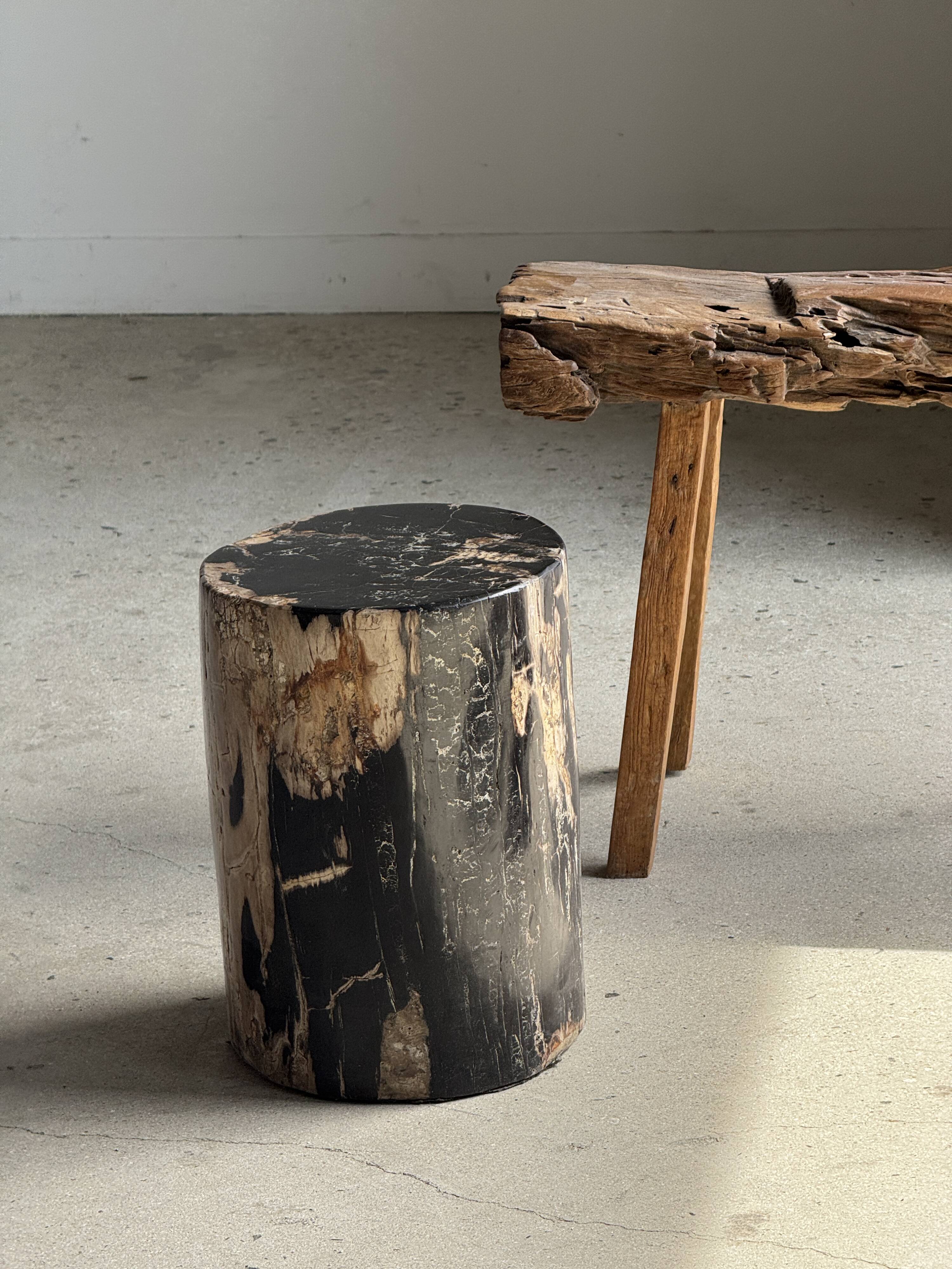Black petrified wood side table with beige side H35 D24 - 3352