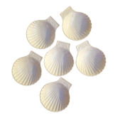 Set de coupelles Apilco