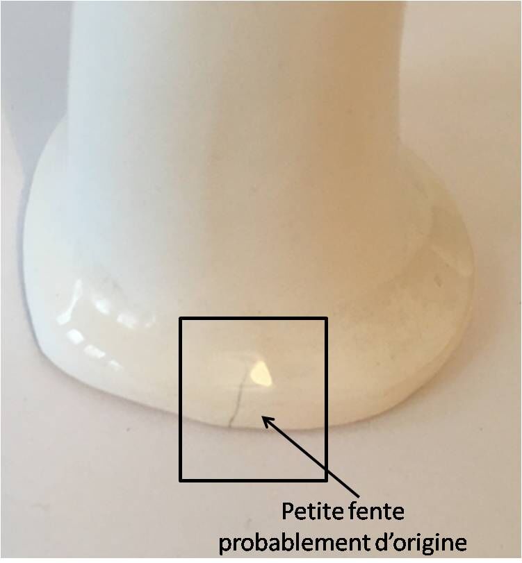 Hand soliflore wearing white ring