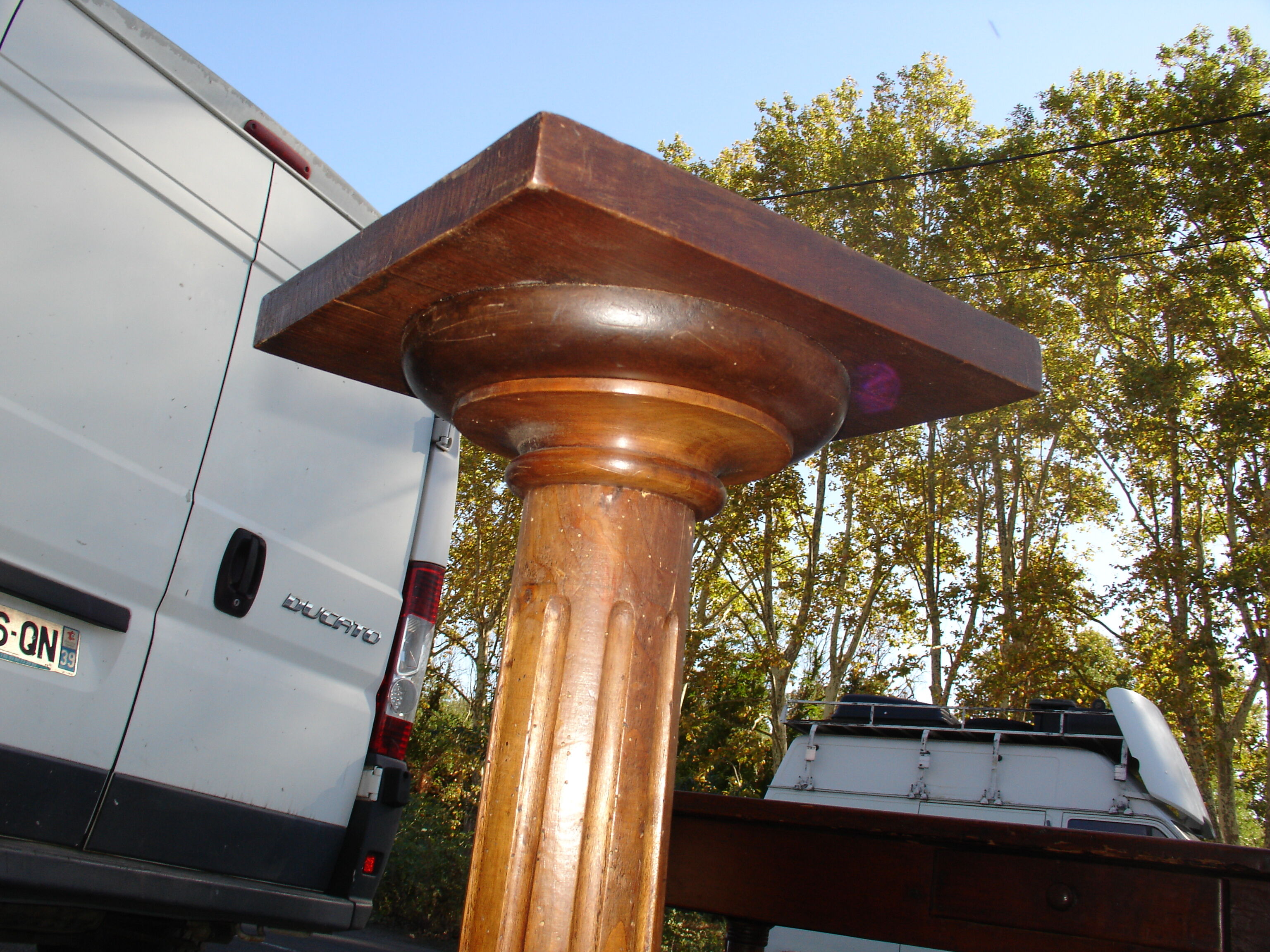 Column is statuary Beech 1900 in its own juice