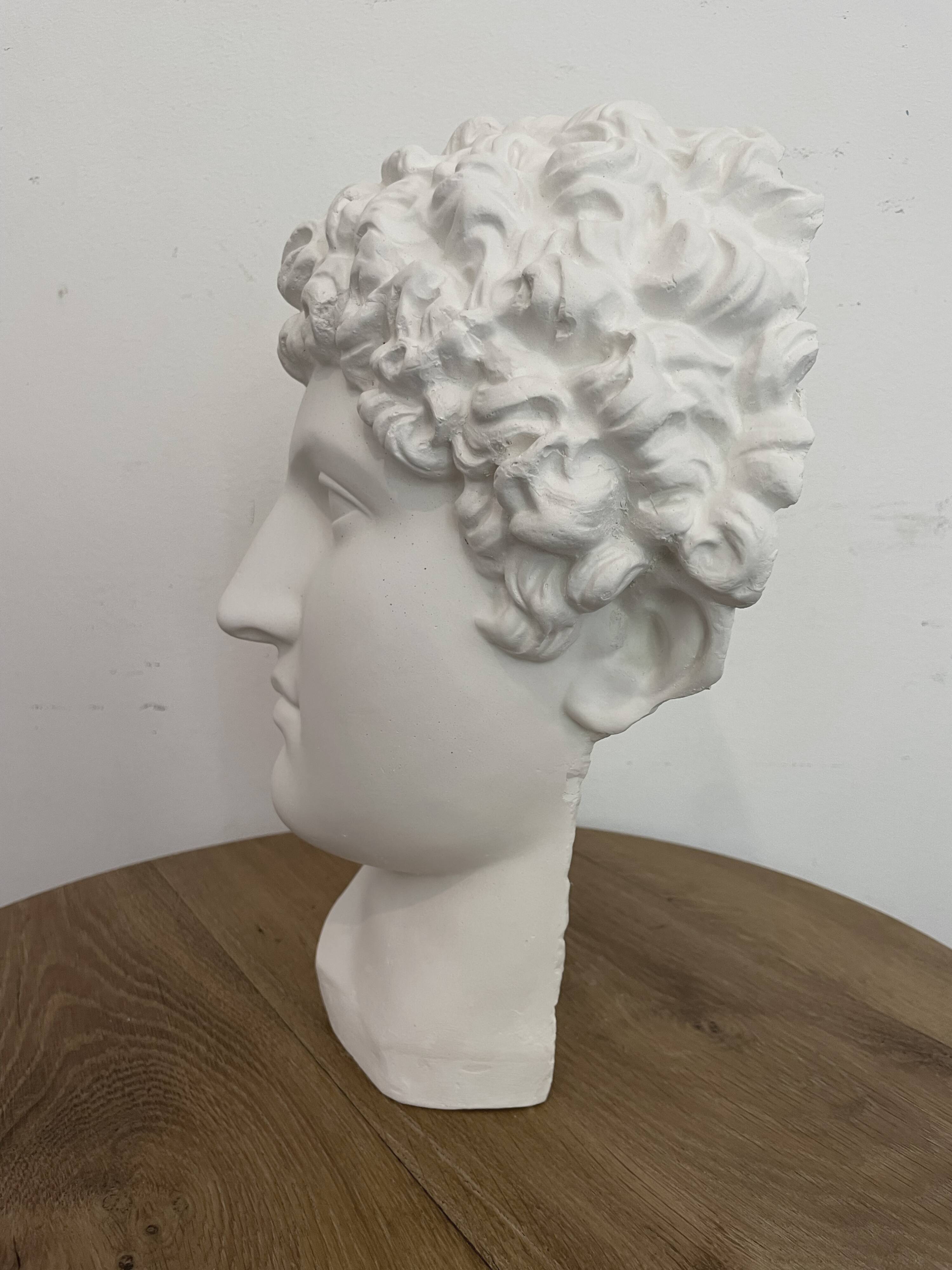 Greek head in polished white plaster