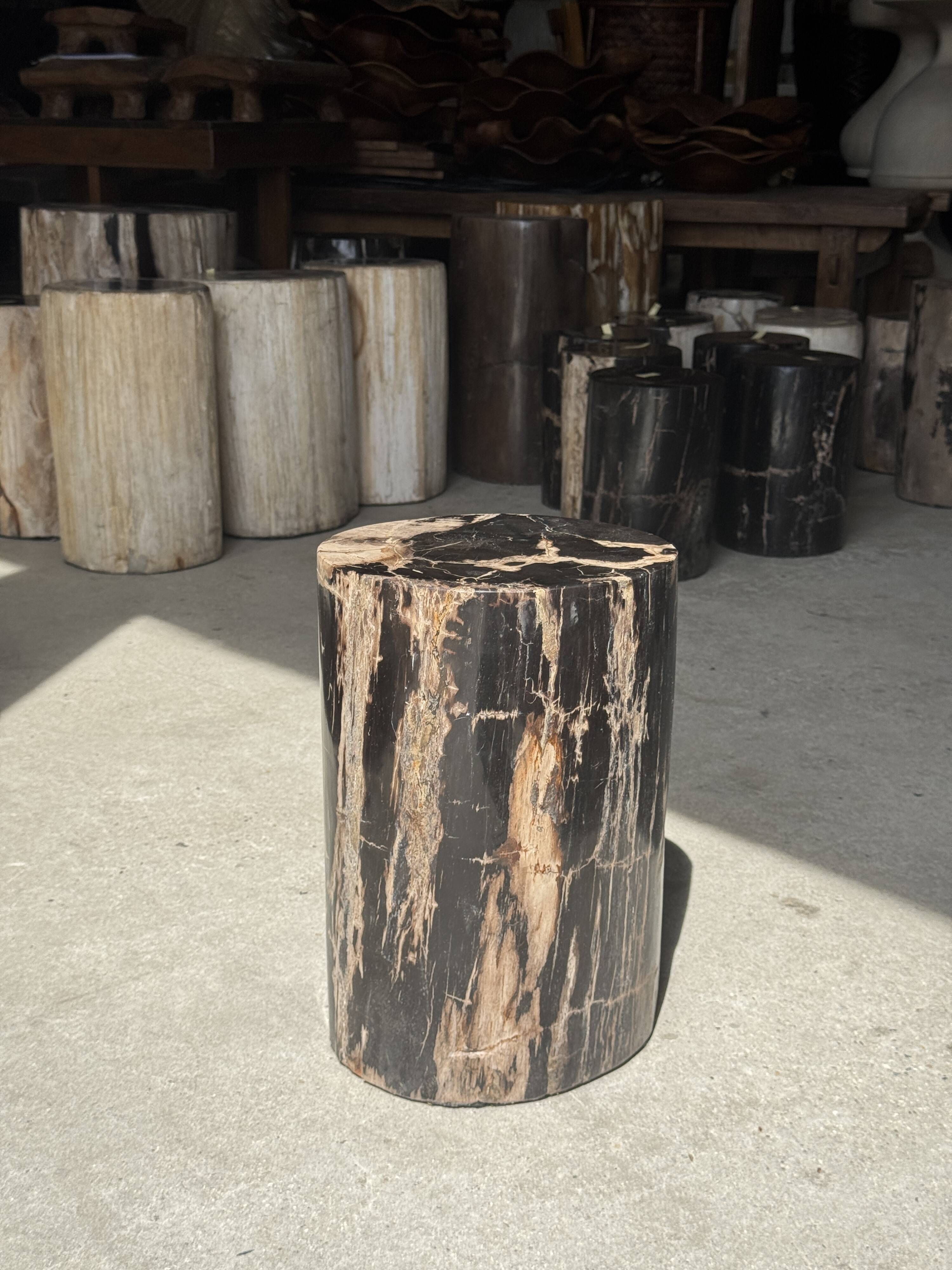 Black petrified wood side table with beige stripes and a semicircular shape.