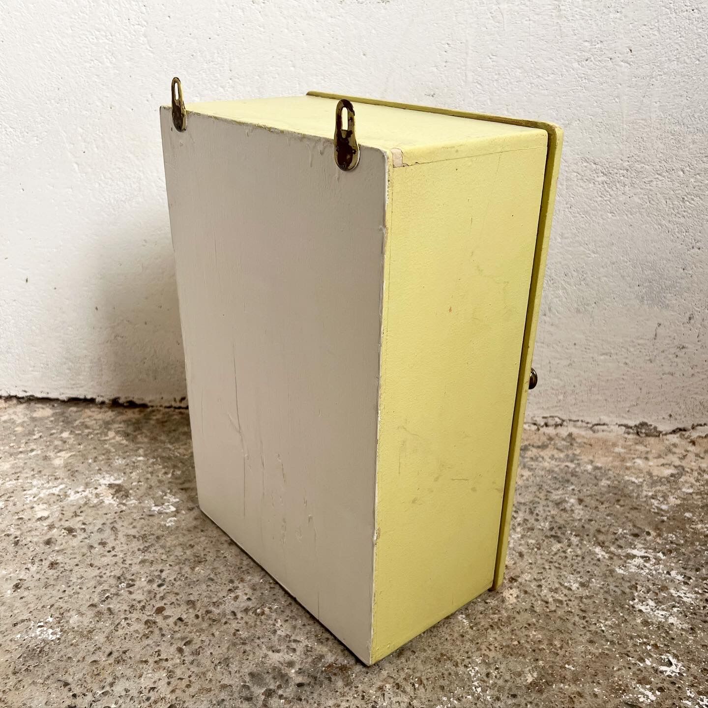 Wall-mounted pharmacy toilet cabinet 1 door