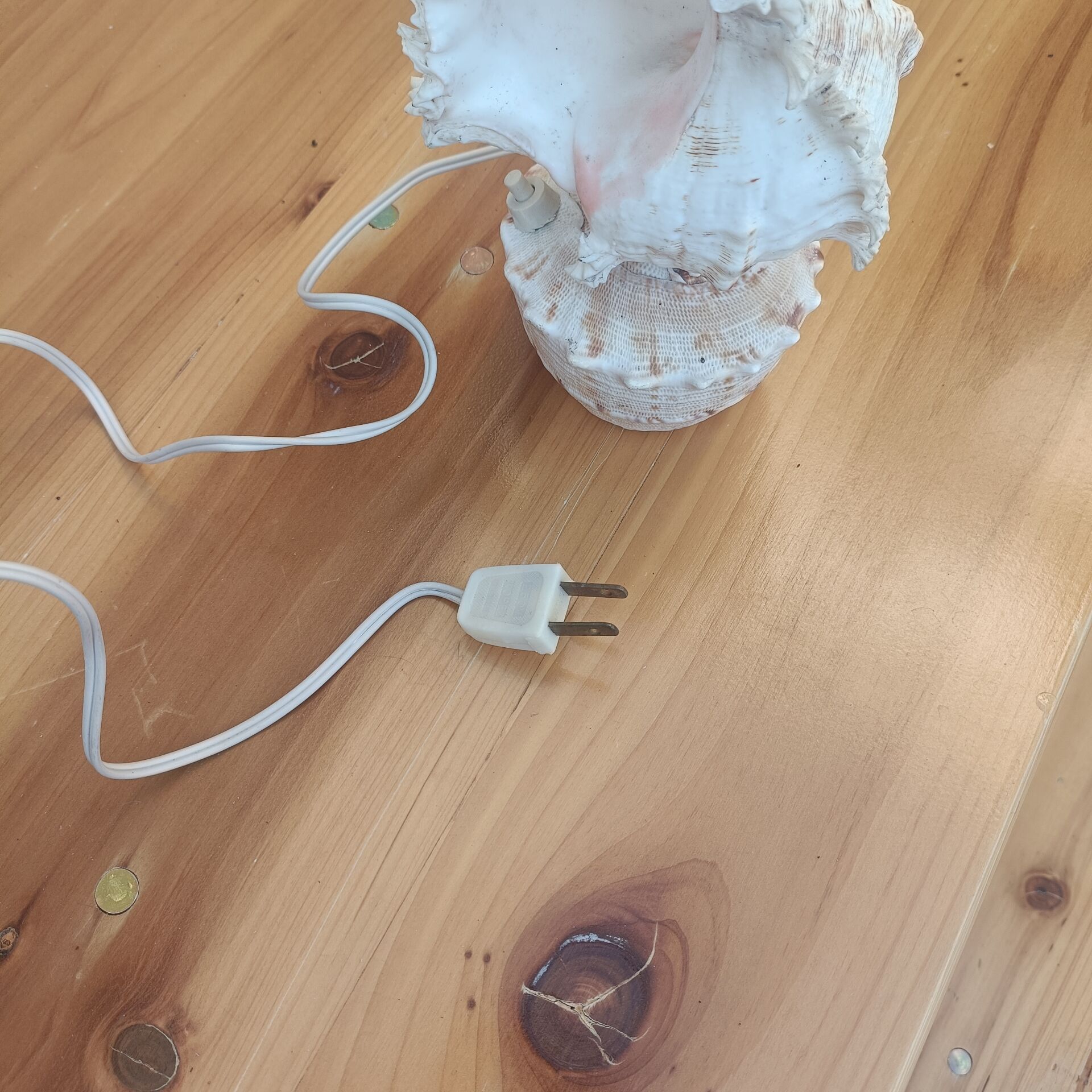 Shell lamp 60's