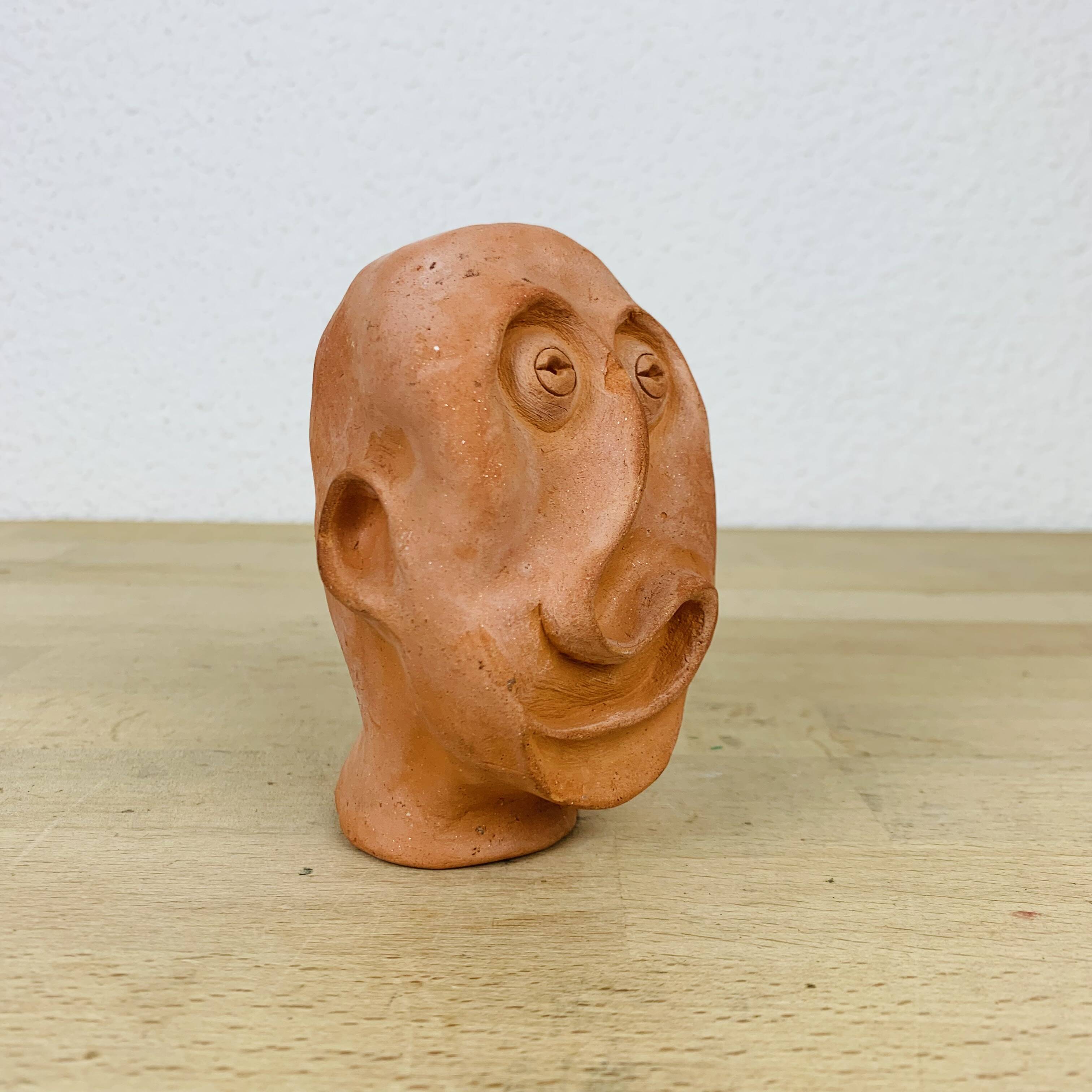 Terracotta head/bust, object of curiosity