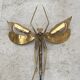"Libellule" wall light by Jacques Duval Brasseur in brass and agate, 1970.