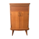 Vintage storage cabinet