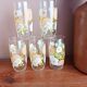 Set of 5 floral orangeade glasses