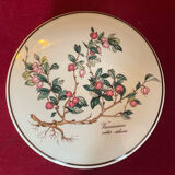 Candy box Villeroy & Boch