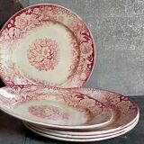 Five plates of earthenware from Pexonne 19th service "flowers"