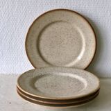 Set of 4 speckled flat plates