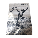 Poster WHY? Vietnam War