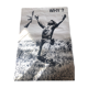 Poster WHY? Vietnam War