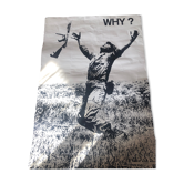 Poster WHY? Vietnam War
