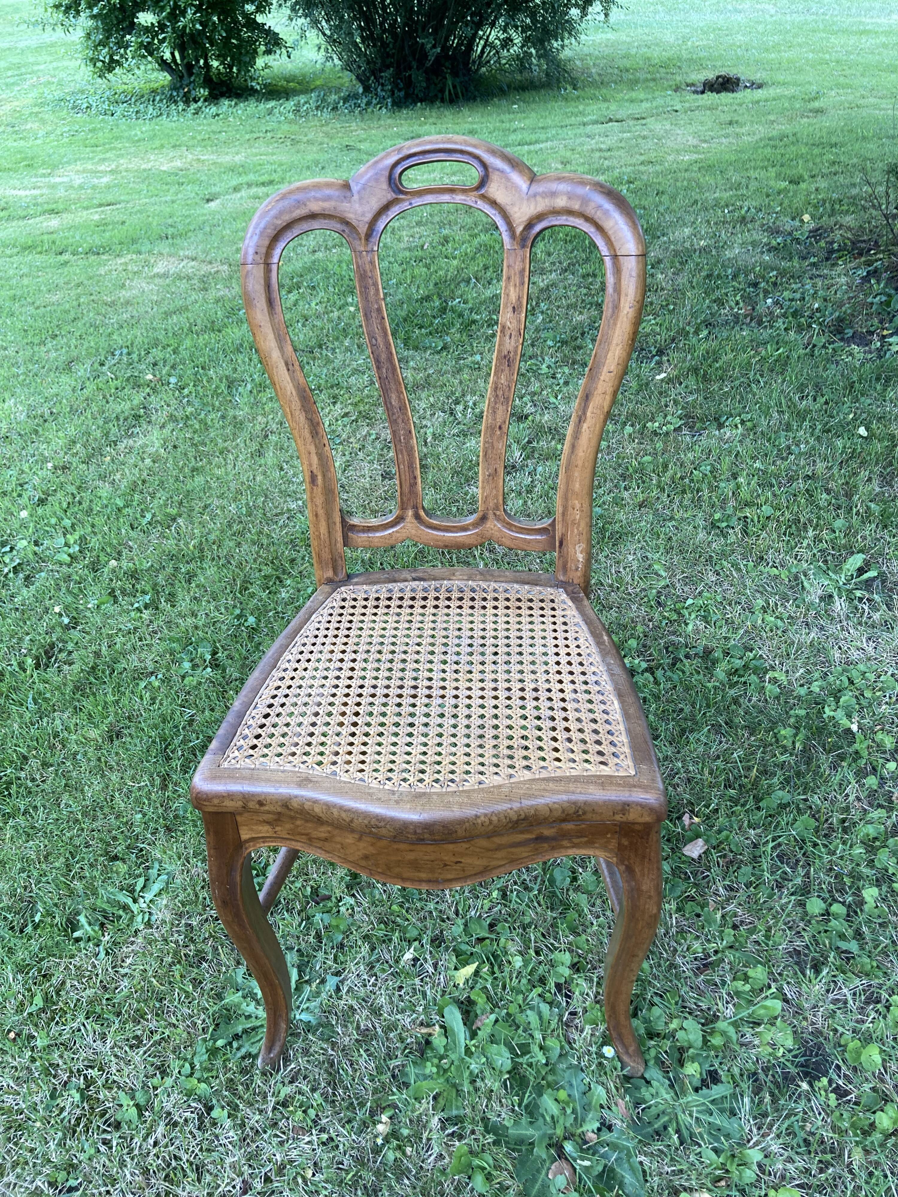 6 louis philippe cannate chairs