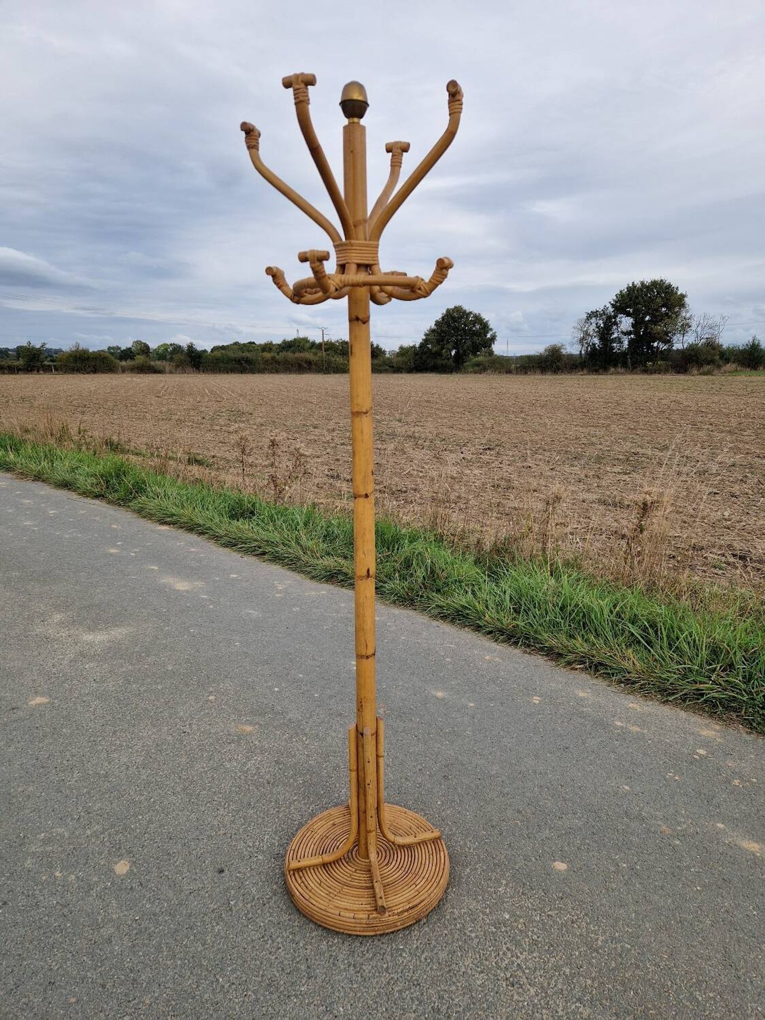 Vintage rattan parrot coat rack
