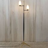 Lunel House Floor Lamp
