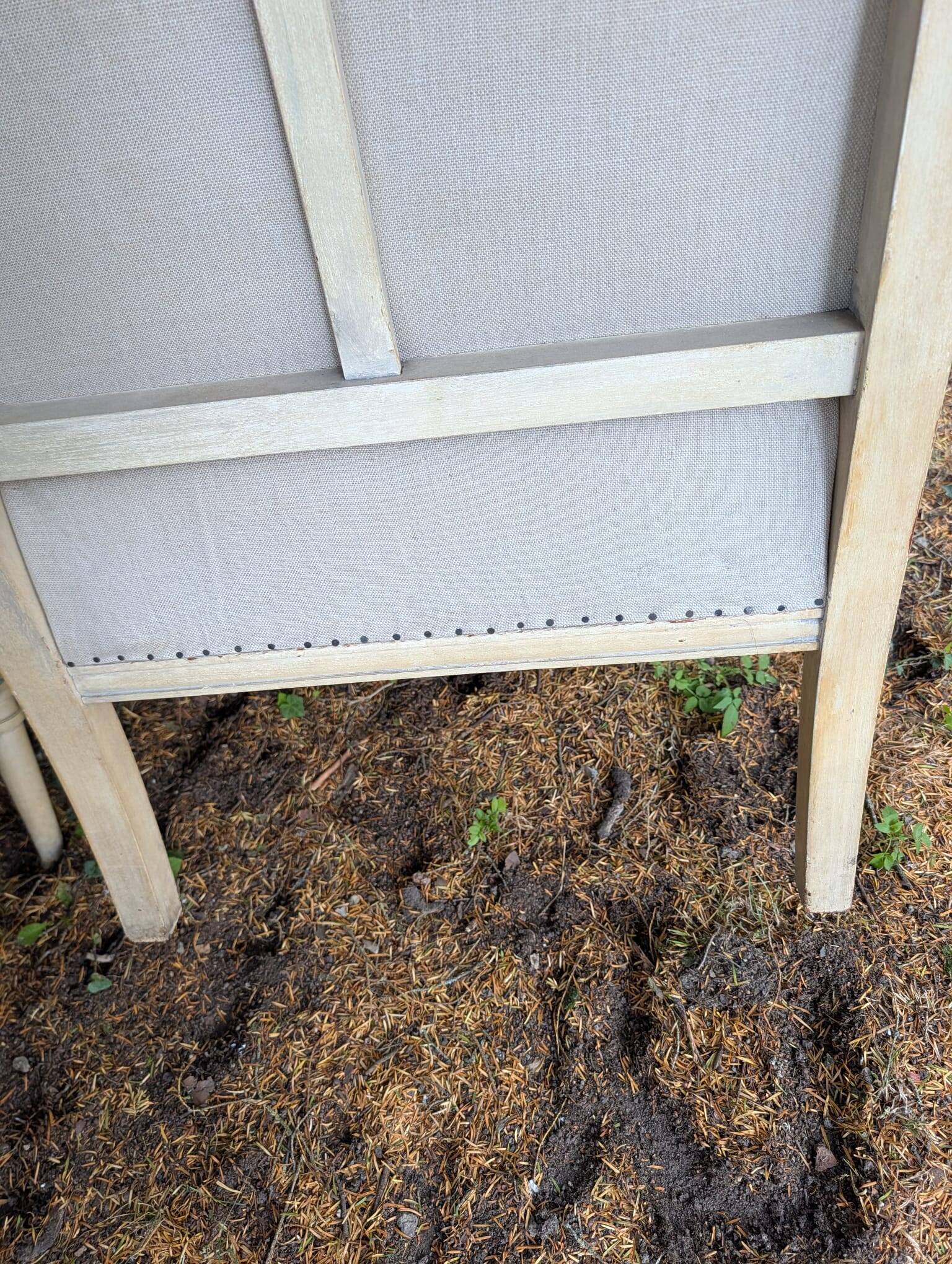 Paire de fauteuils directoire