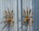 Pair of wall sconces in the shape of a wheat sheaf with two lights.