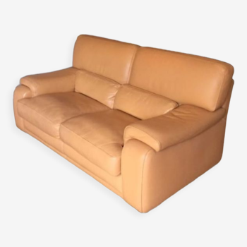 Canape roche bobois cuir