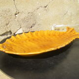 Fish dish Vallauris