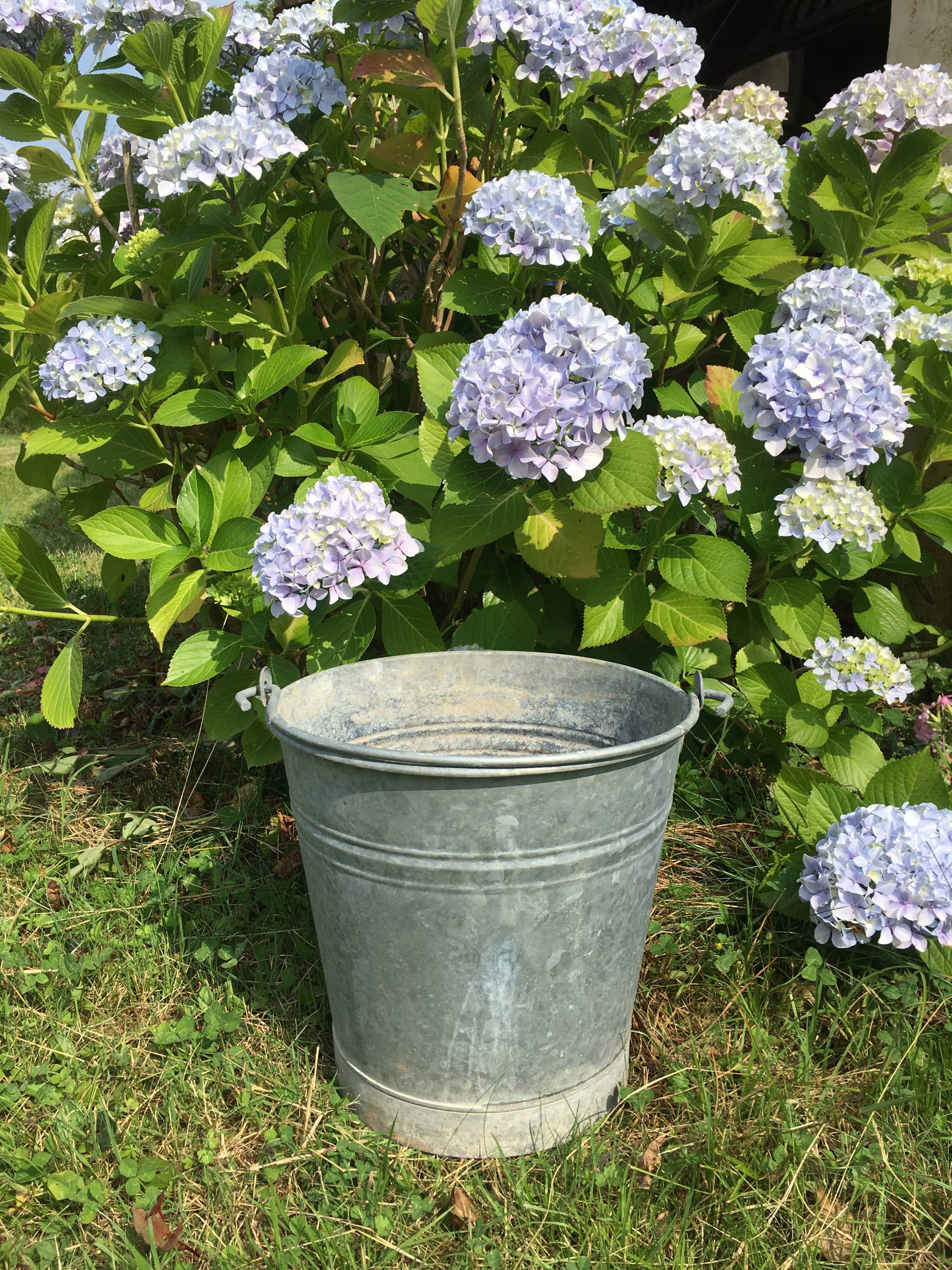 Old bucket in vintage zinc pot cache