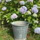 Old bucket in vintage zinc pot cache