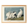 Poster about the Willow Ptarmigan, based on an old engraving from 1827.