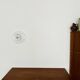 Donut Wall or Ceiling Lamp by J.T. Kalmar