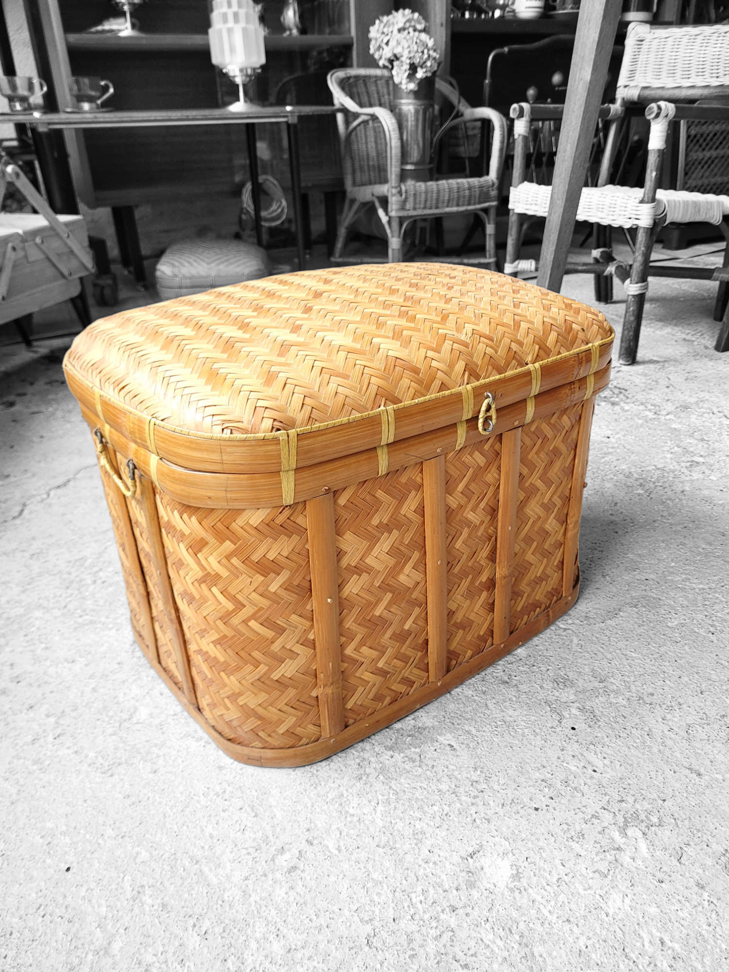 Chest bamboo trunk