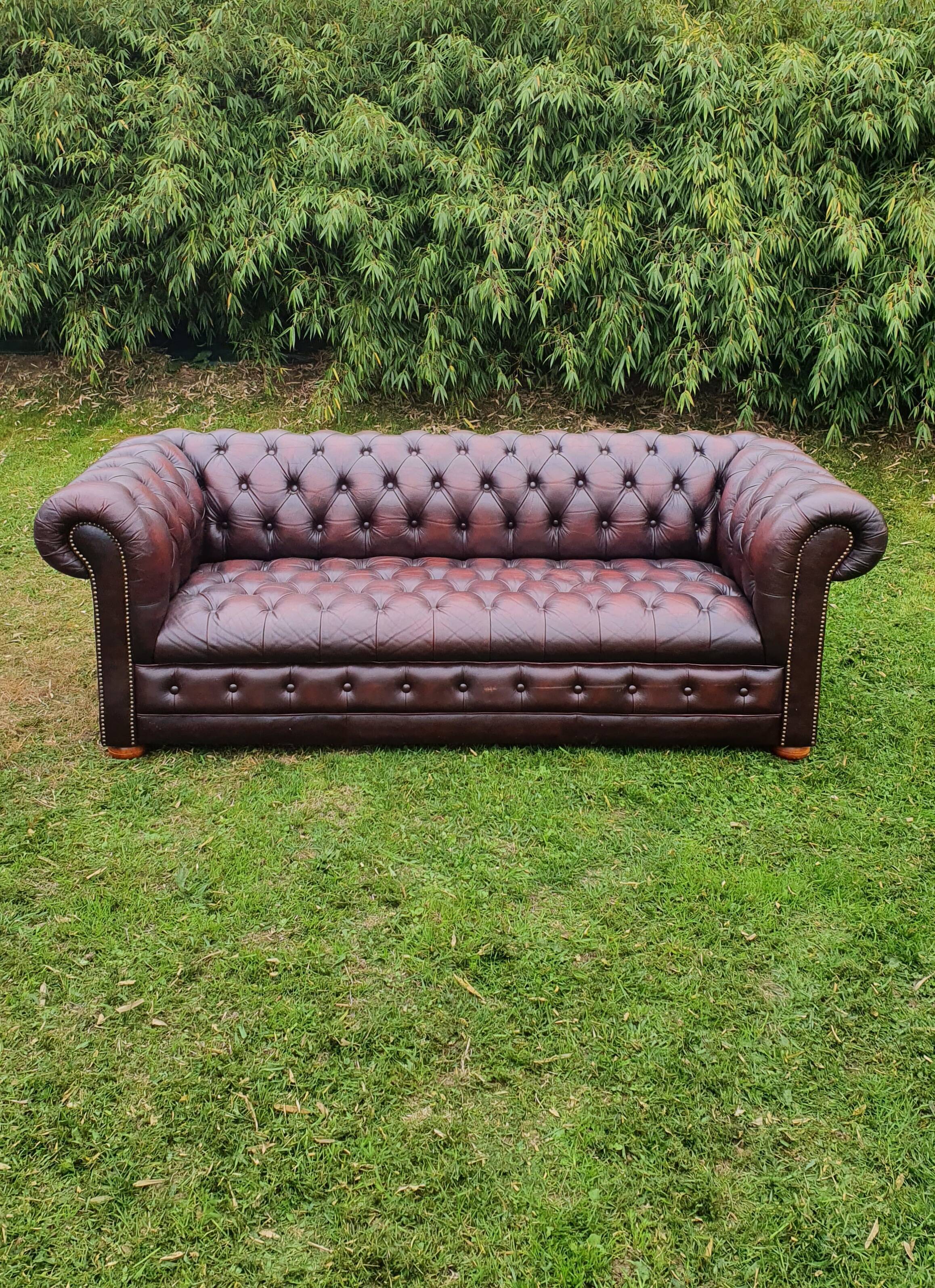 Chesterfield sofa
