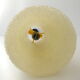 Vintage Arlus house chandelier 1950