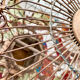 Vintage bird cage