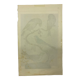 Naturalistic engraving birds