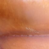 Moustache club armchair