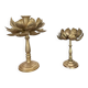 Set of two old brass lotus flower candlesticks