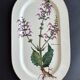 Villeroy and Boch botanica dish