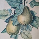 2 tableaux reproduction poires et prunes