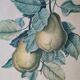 2 tableaux reproduction poires et prunes