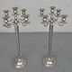 Pair of candlesticks on silver feet