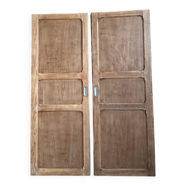 Paire de portes d’armoire