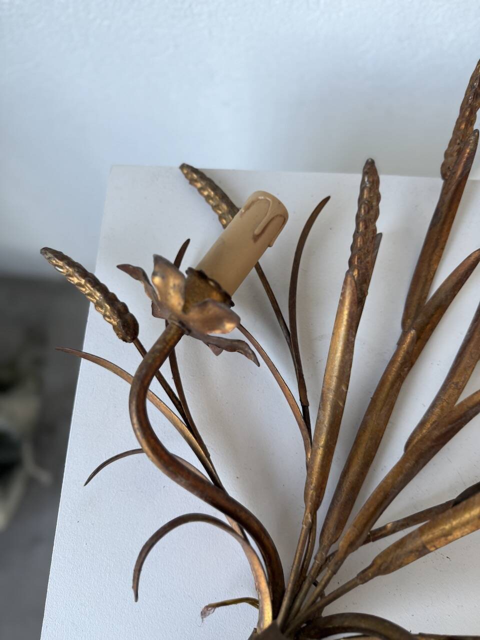 “Ear” wall light in gilded brass