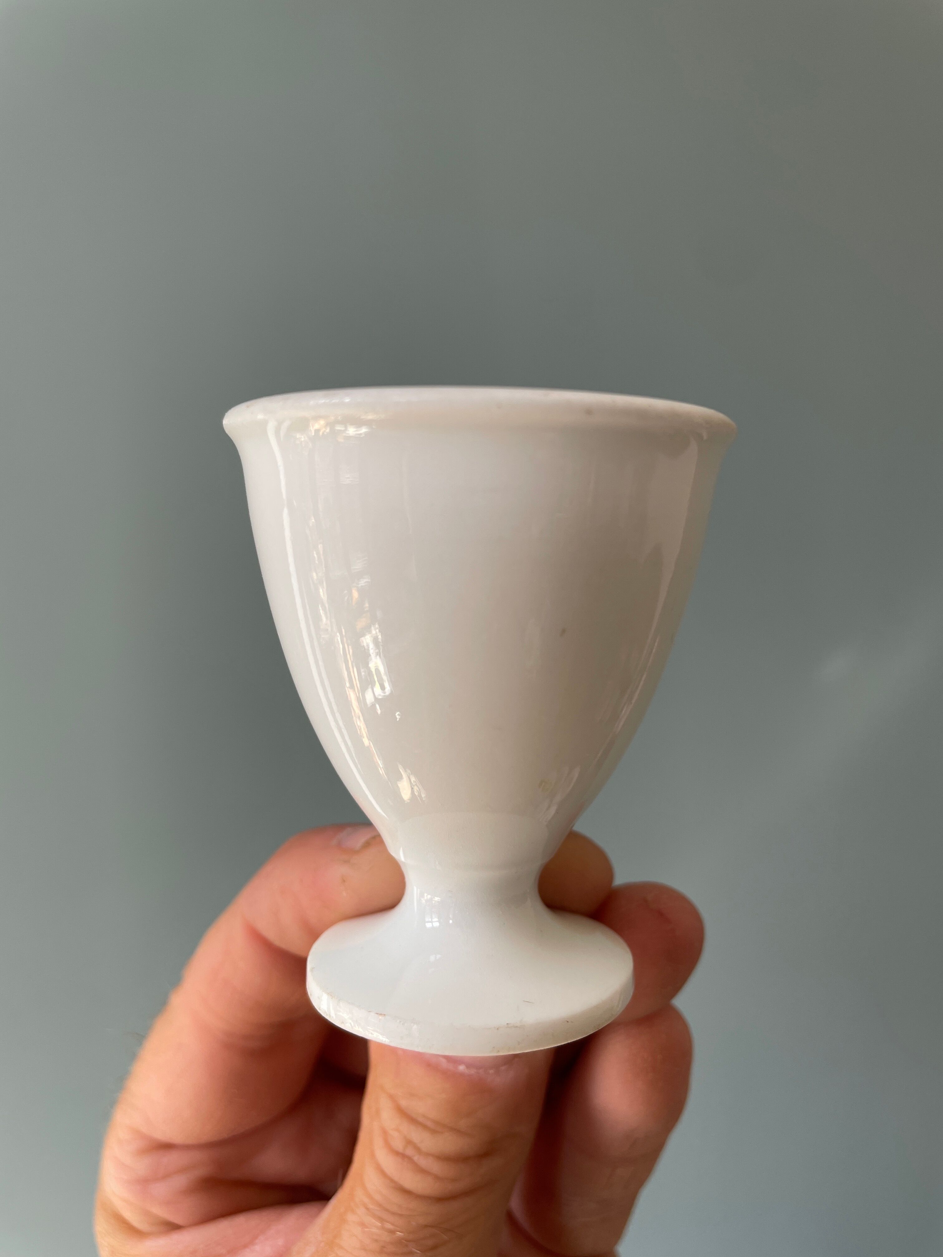 Set of 13 old standing cockroaches