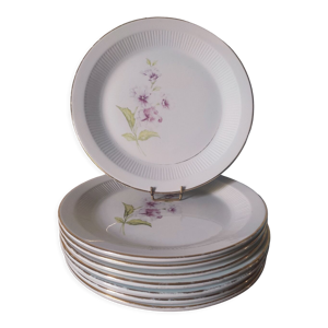 8 assiettes plates en