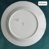 Assiette peinte à la main