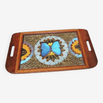 Old tray with butterfly wings decor