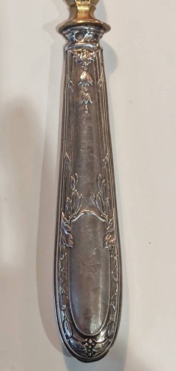 Ancienne Pelle/Couvert