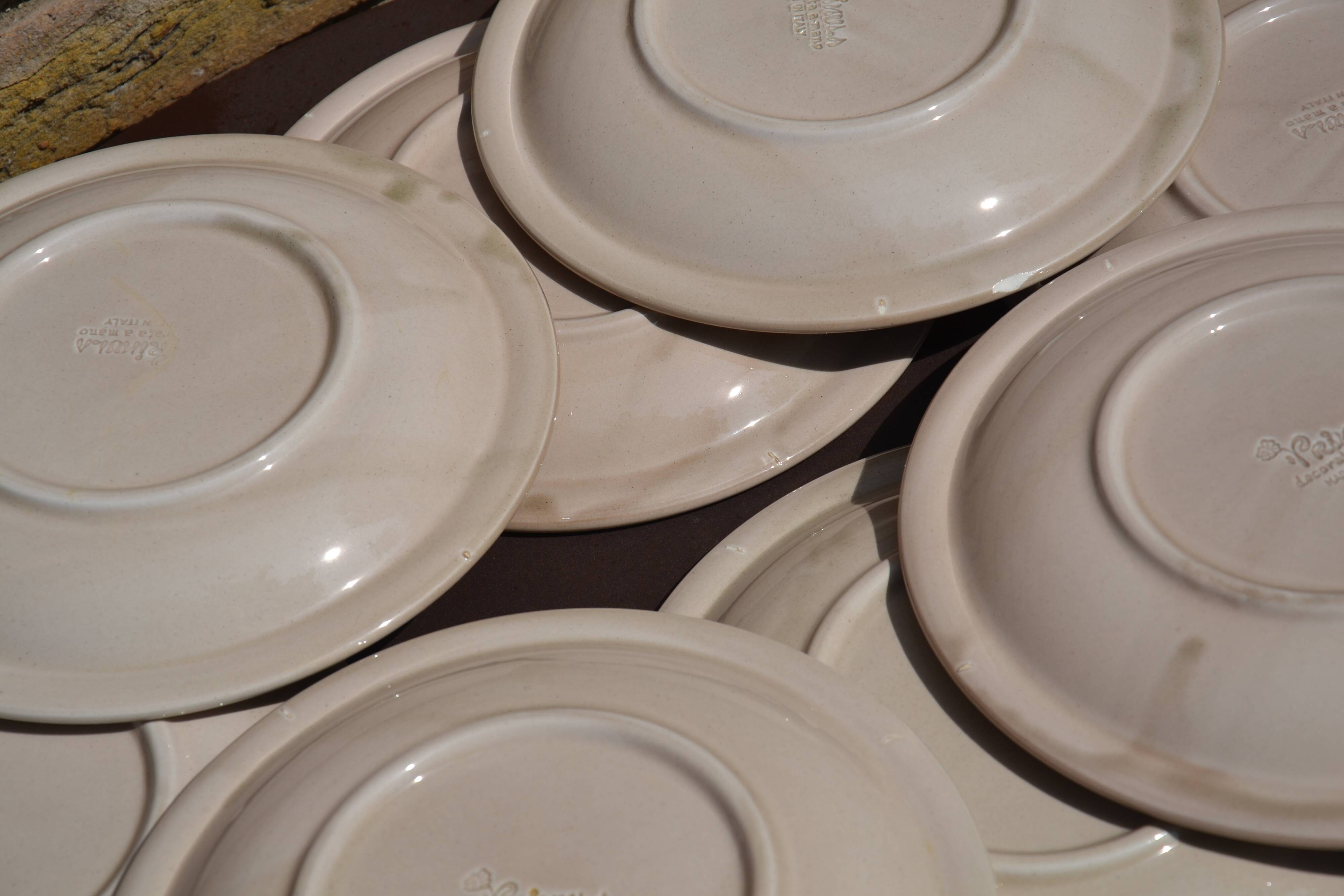 12 assiettes "Primula" Italy vintage